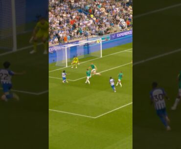 Evan Ferguson STEALS the Show!