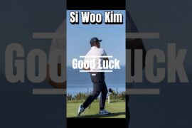 #Si Woo Kim #골프스타 #golfswing #golf