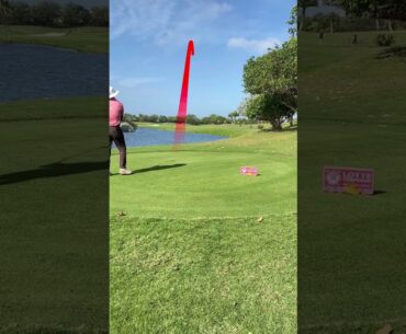 Guess how far this drive goes #golf #golfswing