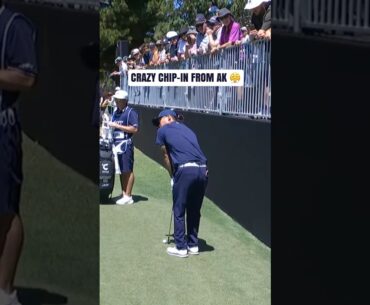 Different breed! 😮‍💨