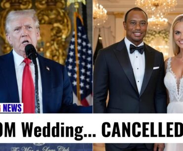 Tiger Woods & Vanessa Trump's $500M Wedding Plan REVEALED - What Donald Trump Really Did