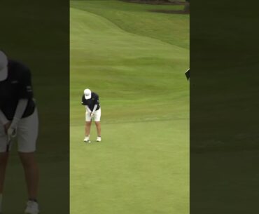 UNREAL birdie from the WOODS 😲 🐣  #golf