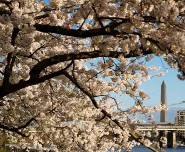 Lawsuit challenges Trump golf course plan