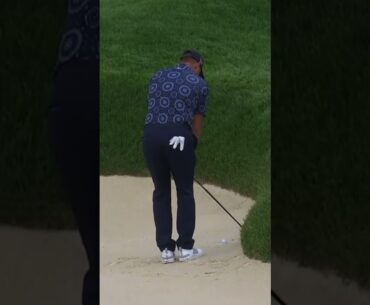 Worst lie, best recovery #golf #pgachampionship #par
