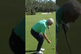 Golf Swing Basics
