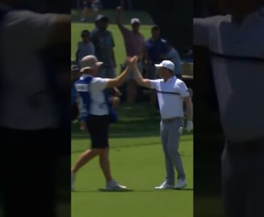 UNBELIEVABLE eagle!  🦅