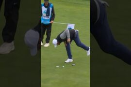 'Did you see THAT?' 😲