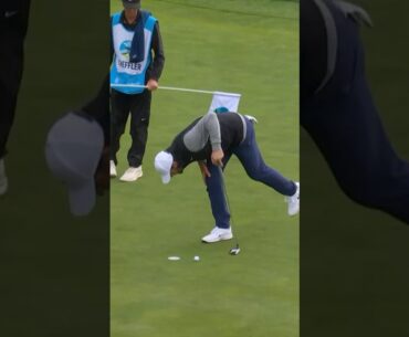 'Did you see THAT?' 😲