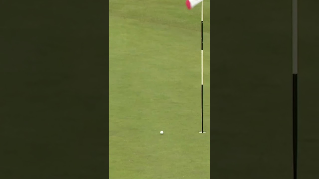 Shot of the week so far! 😏 #golf Shot of the week so far! 😏 #golf