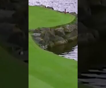Watch this golf shot! #golf