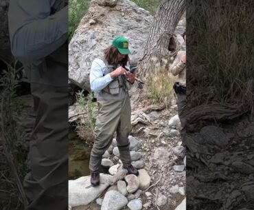 Game Warden 👮‍♂️ Found Us in Remote 🎣 Backcountry Spot!!! 😳 #gamewarden #troutfishing #warden #trout