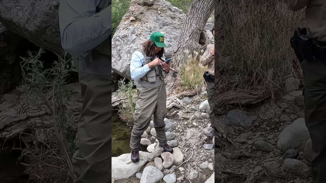 Game Warden 👮‍♂️ Found Us in Remote 🎣 Backcountry Spot!!! 😳 #gamewarden #troutfishing #warden #trout