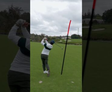 Copy. Paste. Dustin Johnson 😱 @tacogolf @Harryokeh #golf #livgolf #impression