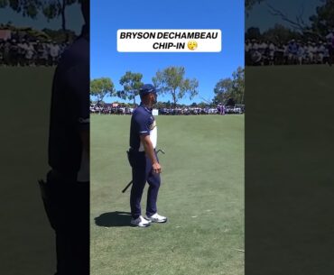 What a CHIP 👀 #brysondechambeau #liv #golf #chipin