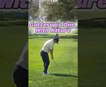 Even the deer had to stop for Chris Gotterup! 😂 #Golf