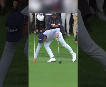 3 Superstars, 3 Birdies 🤝