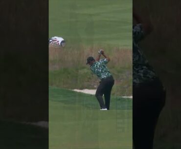 🚨 ALBATROSS ALERT 🚨Patrick Reed with a 2 on a par 5, just the 4th in U.S. Open history!