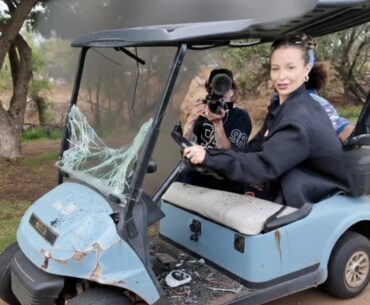 Tana crashed the golf cart learning how to drive...