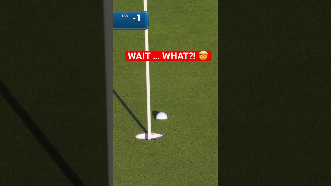 Is this A.I.? 😱 Is this A.I.? 😱