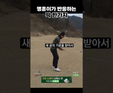 이것만 들면 반응하는 명훈이