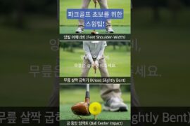 파크골프 초보를 위한 스윙팁  #파크골프 #파크골프치는법 #파크골프초보 #파크골프퍼팅 #파크골프티샷 #파크골프스윙 #파크골프동영상