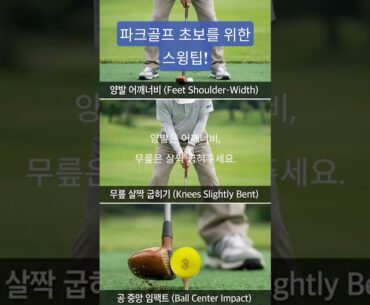 파크골프 초보를 위한 스윙팁  #파크골프 #파크골프치는법 #파크골프초보 #파크골프퍼팅 #파크골프티샷 #파크골프스윙 #파크골프동영상
