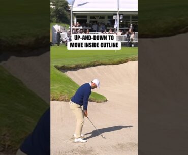 SCOTTIE MAKES THE CUT! 😤