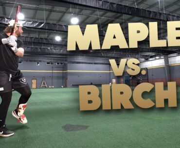MAPLE vs. BIRCH | Wood Bat Review