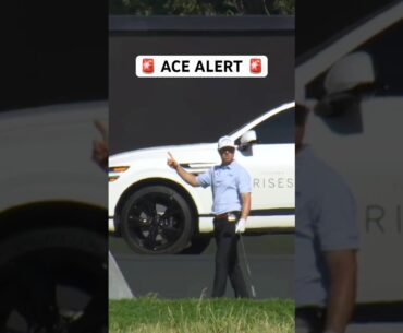 HOLE-IN-ONE for Max Greyserman! 🔥