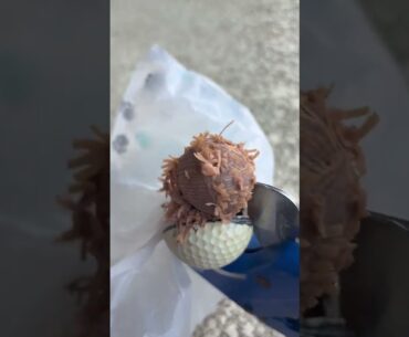 This is the most disgusting golf ball I have ever cut open but probably also the coolest