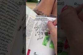 journal girl + golf boy = golf cart craft sesh #junkjournal #journaling #journal #golf