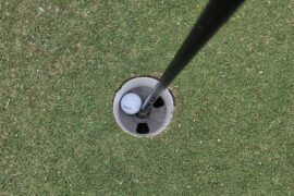First ever eagle!