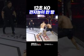 12초 KO 관자놀이 한 방