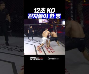 12초 KO 관자놀이 한 방