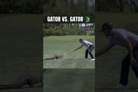 Florida native Billy Horschel takes on alligator 🐊⛳️