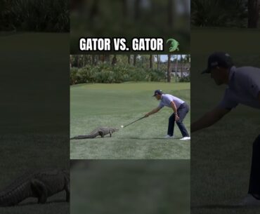 Florida native Billy Horschel takes on alligator 🐊⛳️