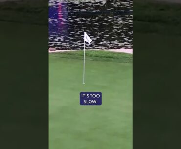 This look say it ALL! 😎