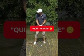 How am I supposed to HIT? 🤷‍♂️🪿