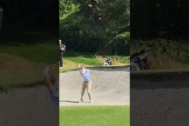 😎 | Swing into Success: Master the game🐼 Elevate your life #golf #golfswing