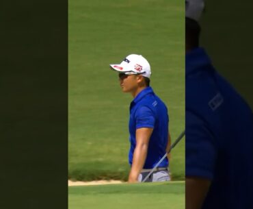 BIRDIE from the bunker!😍