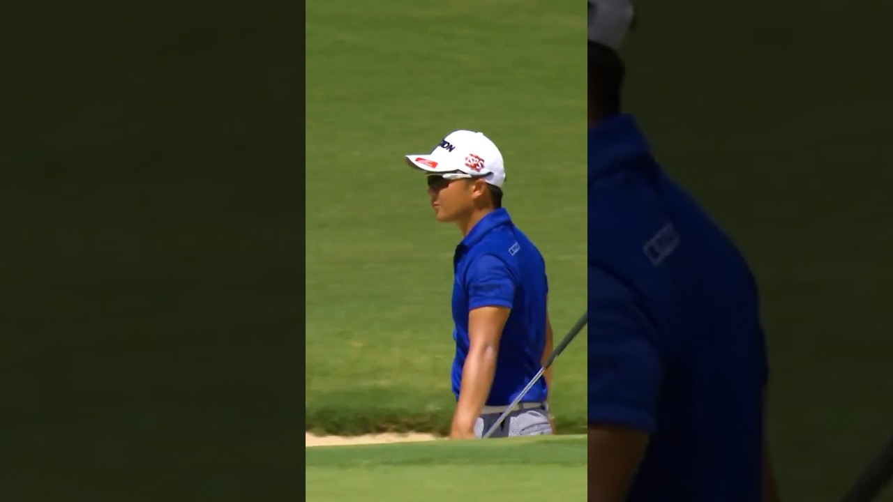 BIRDIE from the bunker!😍 BIRDIE from the bunker!😍