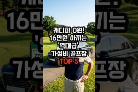 골린이부터 프로까지! 만족도 200% 전국 노캐디 성지 추천 📍