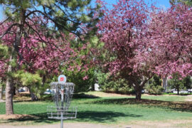 Johnny Roberts Disc Golf Course in Arvada.