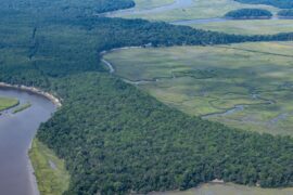 Judge dismisses lawsuit over contested Pine Island property