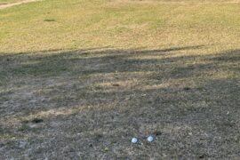 Two Strangers hit nearly identical 265y drives.