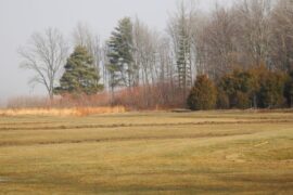 Renovated St. Annes course to open March 15 | North Vernon
