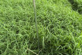 I think the course I played today is about to close. If this happened to you, what signs did you see.