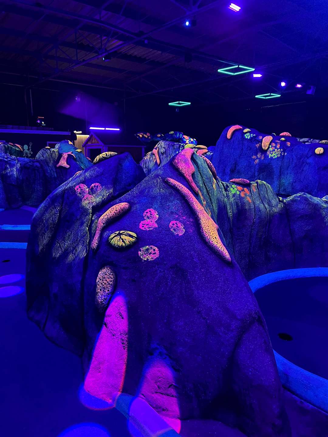 Octoputts crazy golf in King's Lynn will be closing down