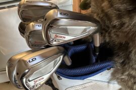 Wife’s been feeding the feral neighborhood cats all winter so I bought new clubs