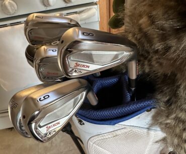 Wife’s been feeding the feral neighborhood cats all winter so I bought new clubs